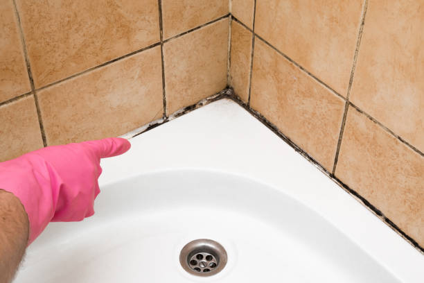 Best Mold Testing  in Blue Point, NY